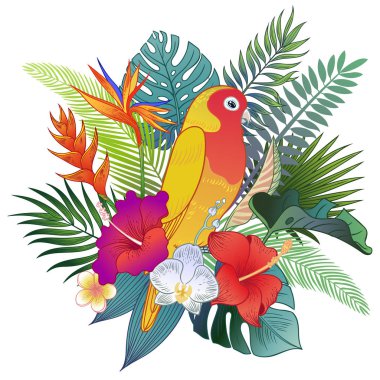 Güzel tropikal egzotik papağan kuş. Vektör çizimi.