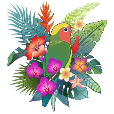Güzel tropikal egzotik papağan kuş. Vektör çizimi.