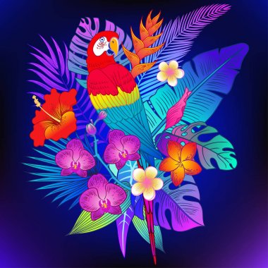 Güzel tropikal egzotik papağan kuş. Vektör çizimi.