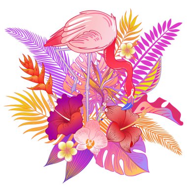 Güzel tropikal egzotik papağan kuş. Vektör çizimi.