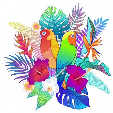 Güzel tropikal egzotik papağan kuş. Vektör çizimi.
