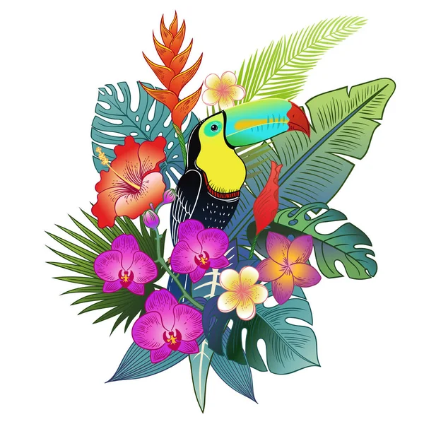 Прекрасная Тропическая Экзотическая Птица Попугая Векторная Иллюстрация — стоковый вектор