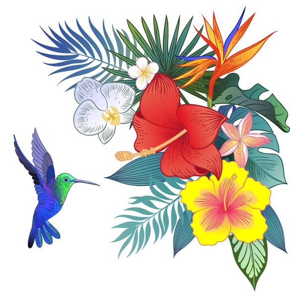 Hermoso Pájaro Loro Tropical Exótico Ilustración Vectorial — Vector de stock