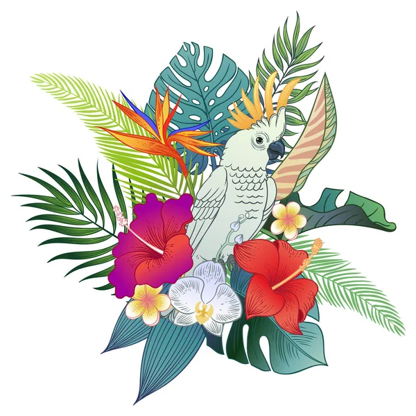 Hermoso Pájaro Loro Tropical Exótico Ilustración Vectorial — Vector de stock