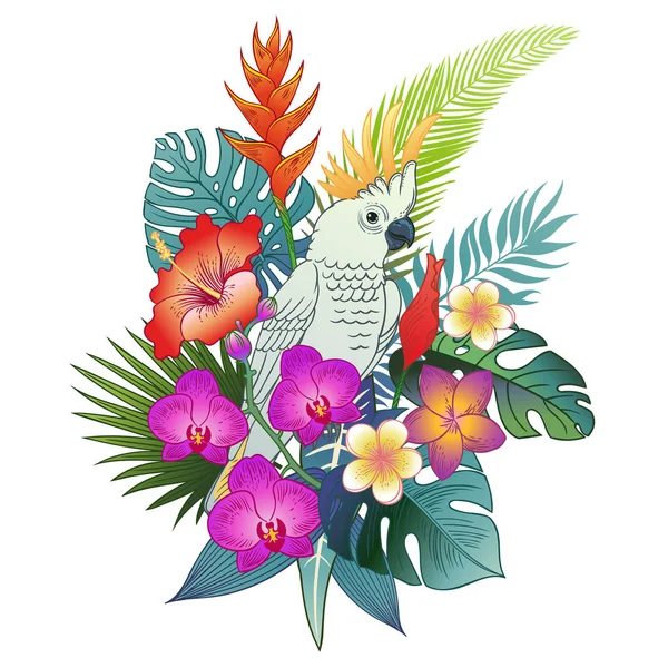 Bel Oiseau Exotique Tropical Perroquet Illustration Vectorielle — Image vectorielle