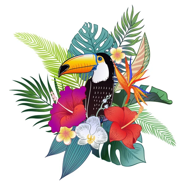 美丽的热带异国情调的鹦鹉鸟 矢量插图 — 图库矢量图片