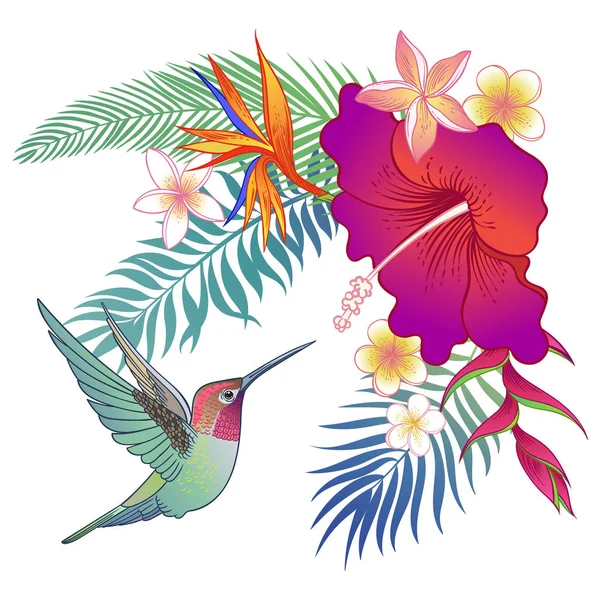Güzel Tropikal Egzotik Papağan Kuş Vektör Çizimi — Stok Vektör