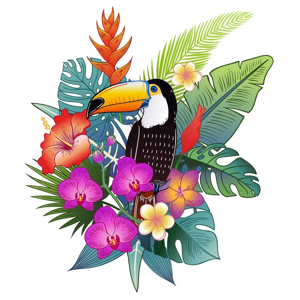 Hermoso Pájaro Loro Tropical Exótico Ilustración Vectorial — Archivo Imágenes Vectoriales