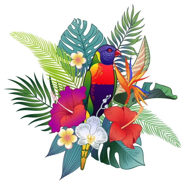 Bel Oiseau Exotique Tropical Perroquet Illustration Vectorielle — Image vectorielle