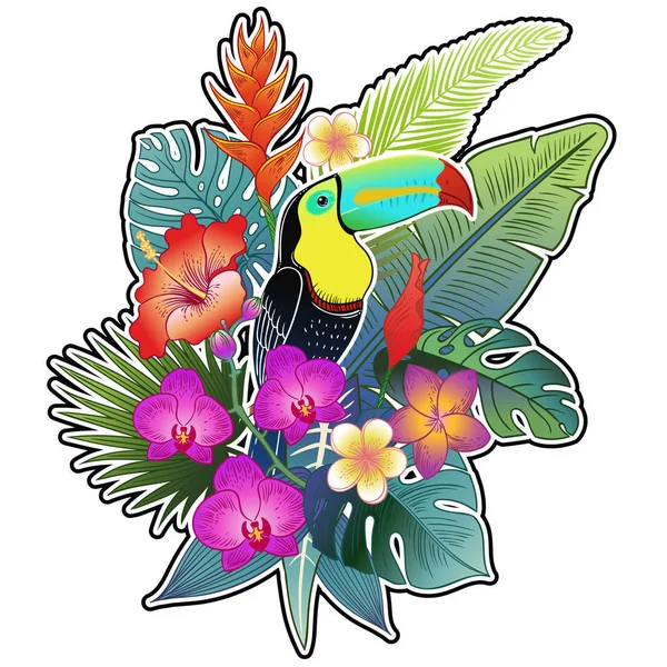 Hermoso Pájaro Loro Tropical Exótico Ilustración Vectorial — Archivo Imágenes Vectoriales