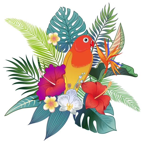 Bel Oiseau Exotique Tropical Perroquet Illustration Vectorielle — Image vectorielle