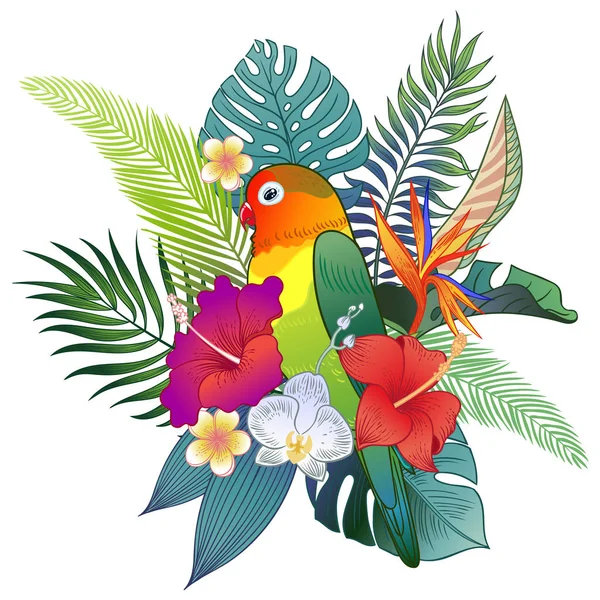 Hermoso Pájaro Loro Tropical Exótico Ilustración Vectorial — Vector de stock