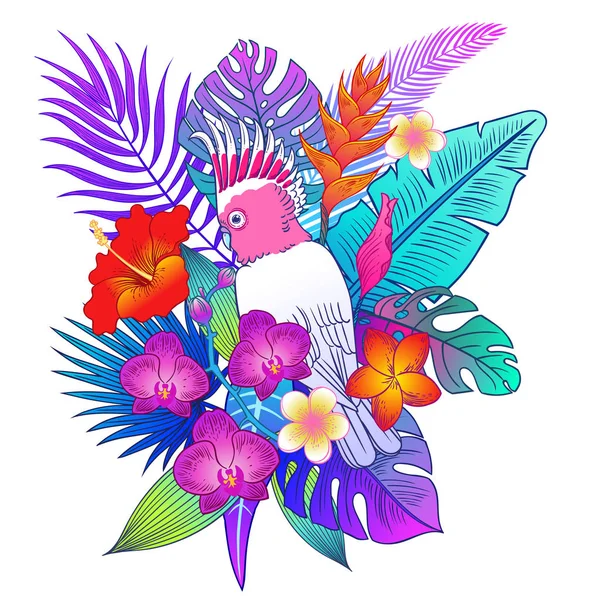 Прекрасний Тропічний Екзотичний Птах Векторні Ілюстрації — стоковий вектор
