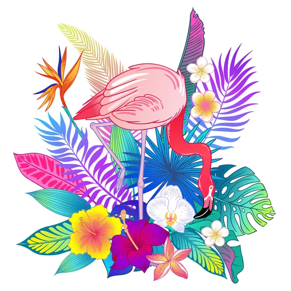 Nádherná Tropická Exotická Papouška Vektorová Ilustrace — Stockový vektor