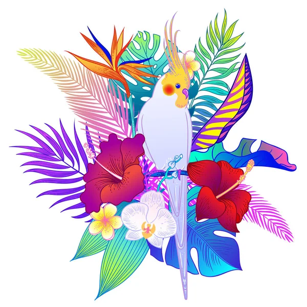 Güzel Tropikal Egzotik Papağan Kuş Vektör Çizimi — Stok Vektör