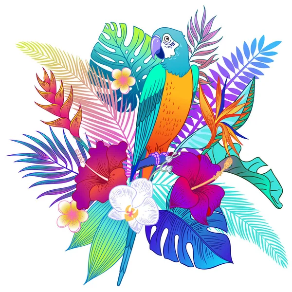 Hermoso Pájaro Loro Tropical Exótico Ilustración Vectorial — Vector de stock