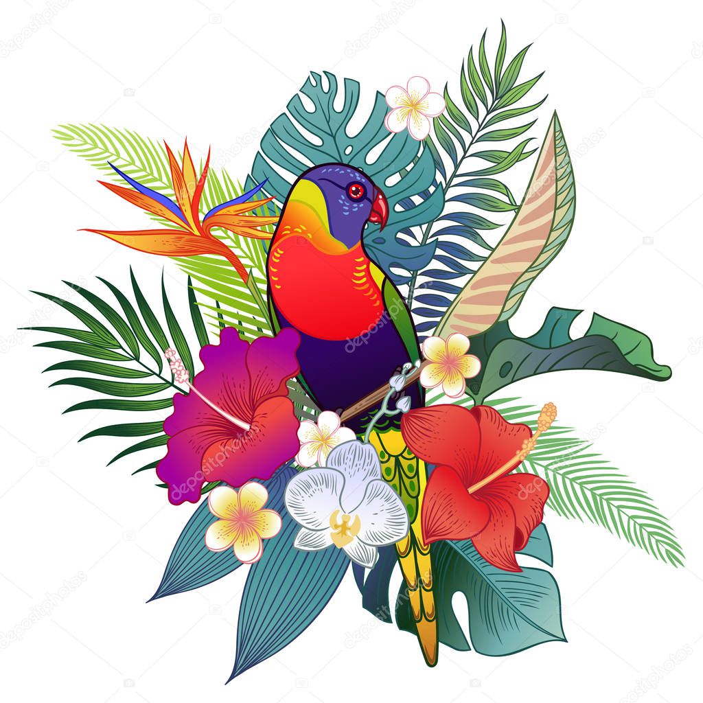 Beautiful tropical exotic parrot bird. Vector illustration.