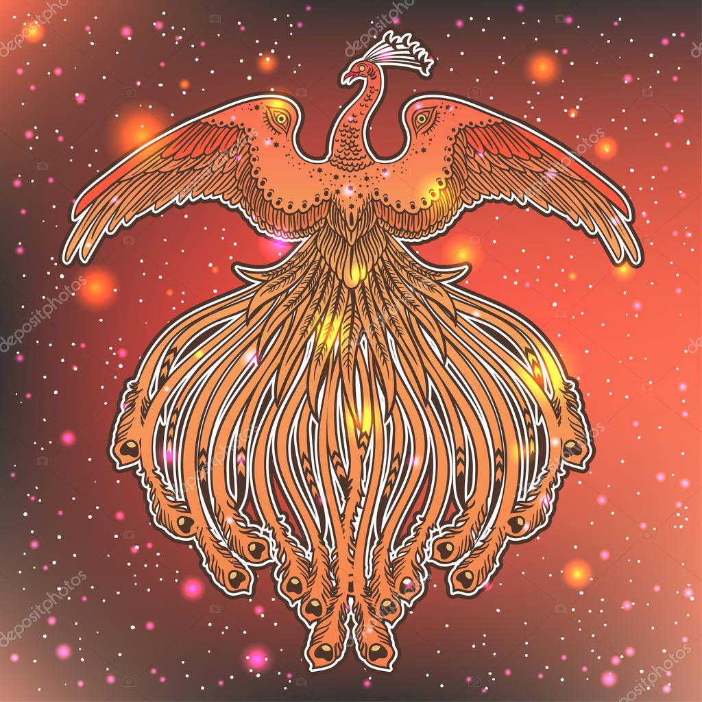 Hand drawn illustration with Phoenix Fire Bird from Russian fairy tale. Vector beautiful art, perfect for tattoo, logo, party and etc