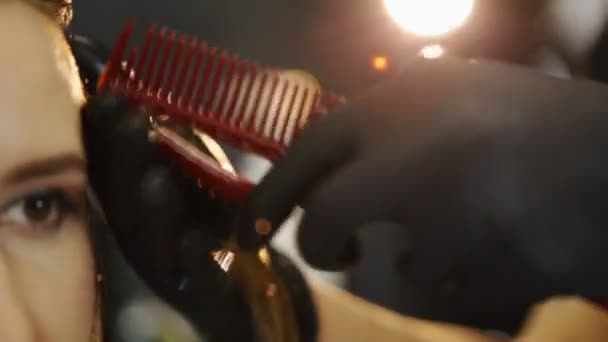 Kuaför Kuaförde Kadın Saçı Boyuyor Hava Dokunuşu Renk Tekniği Kapat — Stok video
