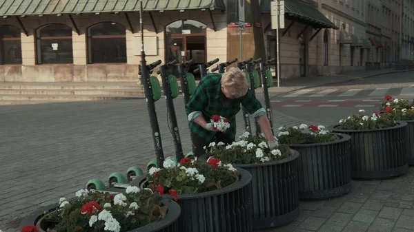 VARDI, POLAND - 19 Temmuz 2019: Kadınlar eski kasabadaki çiçeklerle ilgilenir