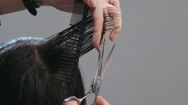 Coiffeuse Professionnelle Peigner Les Cheveux Homme Coiffeur Travaillant Dans Salon — Photo