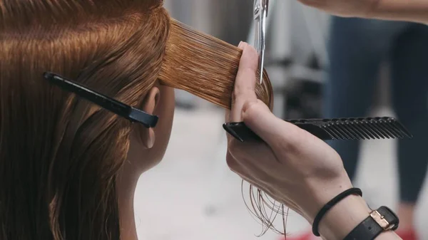模特儿头上用剪刀剪头发的发型师 练习和训练 — 图库照片