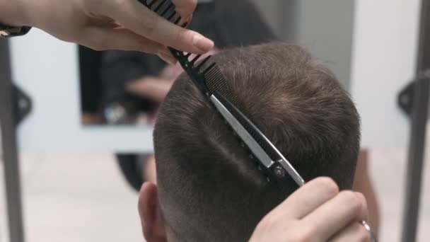 专业的女性发型师梳理和理发 靠近点 慢动作 — 图库视频影像