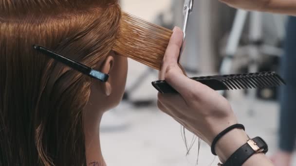 Stylist Hair Cutting Scissors Mannequin Head Practices Training — Stock Video