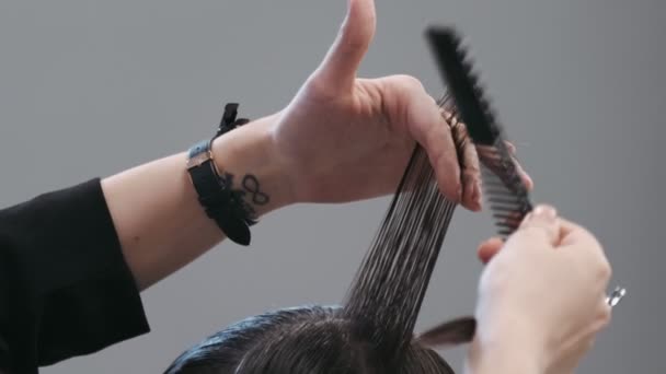 Cabelo Penteado Feminino Profissional Penteando Cabelo Homem Cabeleireiro Trabalhando Salão — Vídeo de Stock