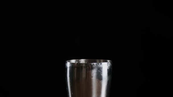 Barman Dává Křišťálové Kostky Ledu Třepačky Při Přípravě Alkoholického Koktejlu — Stock video