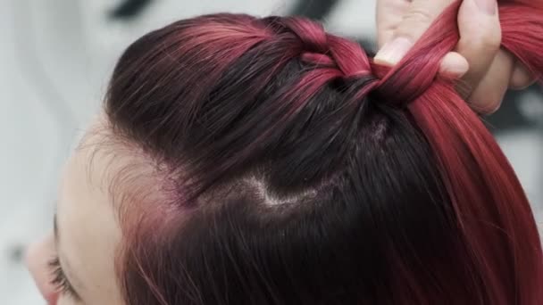 Professional Hairdresser Plaiting Braids Red Colored Female Hair — Stock  Video © AlexFisheye #384063546