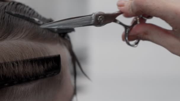 Professionele Vrouwelijke Hairstylist Kammen Knippen Man Haar — Stockvideo