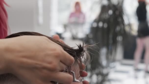 Professional Female Hairstylist Combing Cutting Man Hair — Stock Video