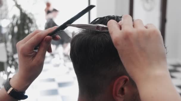 专业的女性发型师梳理和理发 — 图库视频影像