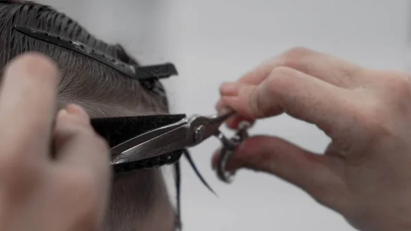 Professional Female Hairstylist Combing Cutting Man Hair — Stock Photo, Image