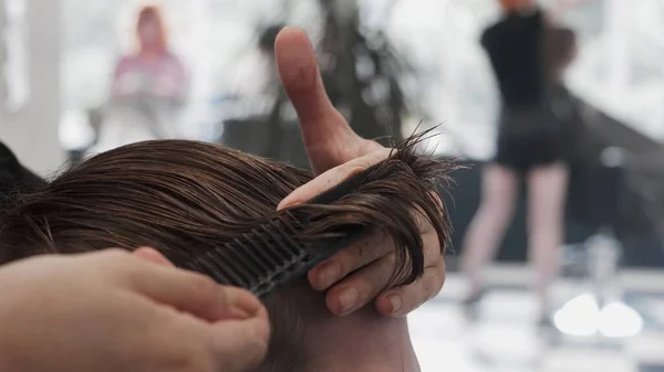 Professional Female Hairstylist Combing Cutting Man Hair — Stock Photo, Image