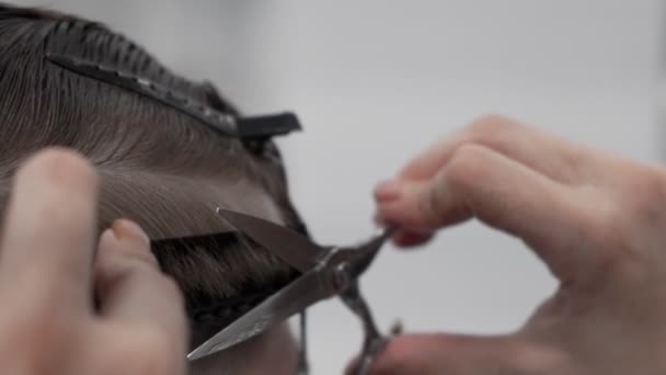 Cabeleireiro Profissional Feminino Pentear Cortar Cabelo Homem — Vídeo de Stock