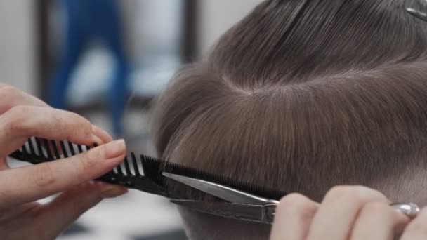 专业的女性发型师梳理和理发 — 图库视频影像