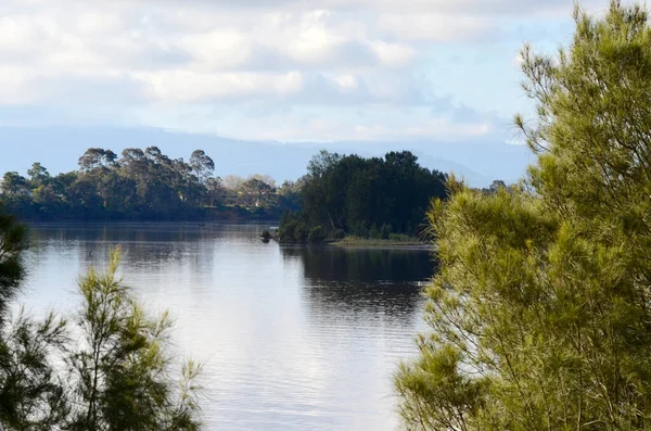 Avustralya 'nın Yeni Güney Galler' in güney kıyısındaki Nowra 'daki Shoalhaven Nehri manzarası