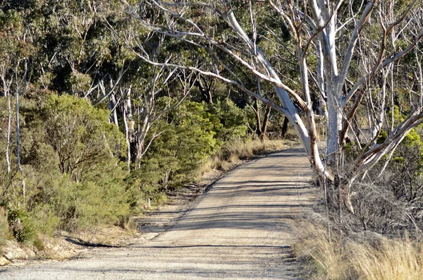 Een Onverharde Weg Bij Katoomba Blue Mountains Ten Westen Van — Stockfoto