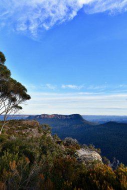 Sidney, Avustralya 'nın batısındaki Katoomba' daki Heyelan Gözcüsü 'nden vadiye bir manzara