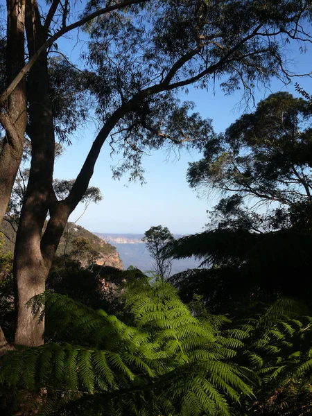 View Blue Mountains West Sydney Australia — Stock Photo, Image