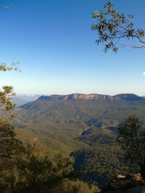 Sydney, Avustralya 'nın batısındaki Leura' daki Mavi Dağların manzarası.