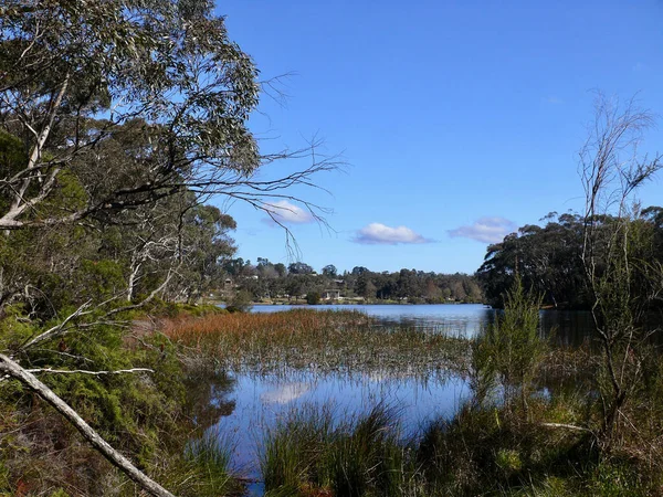 Uitzicht Wentworth Falls Lake Blue Mountains Ten Westen Van Sydney — Stockfoto