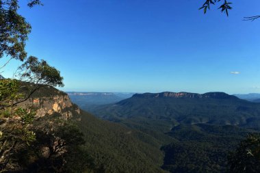 Sydney, Avustralya 'nın batısındaki Leura' daki Mavi Dağların manzarası.