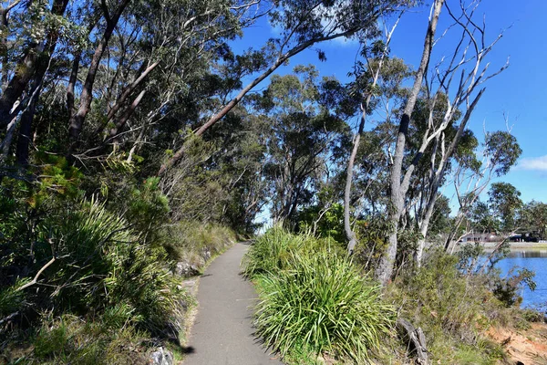 Juste Une Promenade Dans Parc — Photo