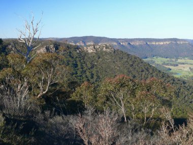 Lithgow, Avustralya yakınlarındaki Haşsan Duvarı 'nın kırsal manzarası.