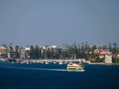 Erkeksi Feribot - Collaroy - Sidney, Avustralya 'daki Circular Quay' e giderken Manly Cove 'dan çekildi.