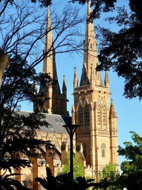 Sydney 'deki St Mary Katedrali' nin Hyde Park 'tan görünen manzarası.