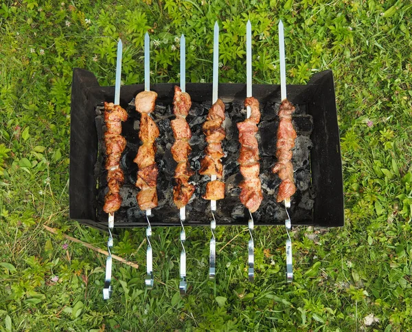 緑の草原の草を背景に 金属串とそれらの上に焼き豚肉とグリルのトップビュー — ストック写真